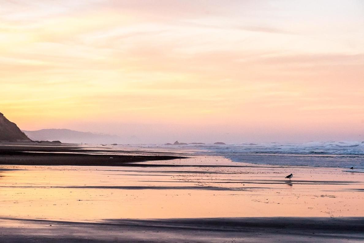New Listing! Bay-View Beauty With Private Balcony Condo Lincoln City Eksteriør bilde